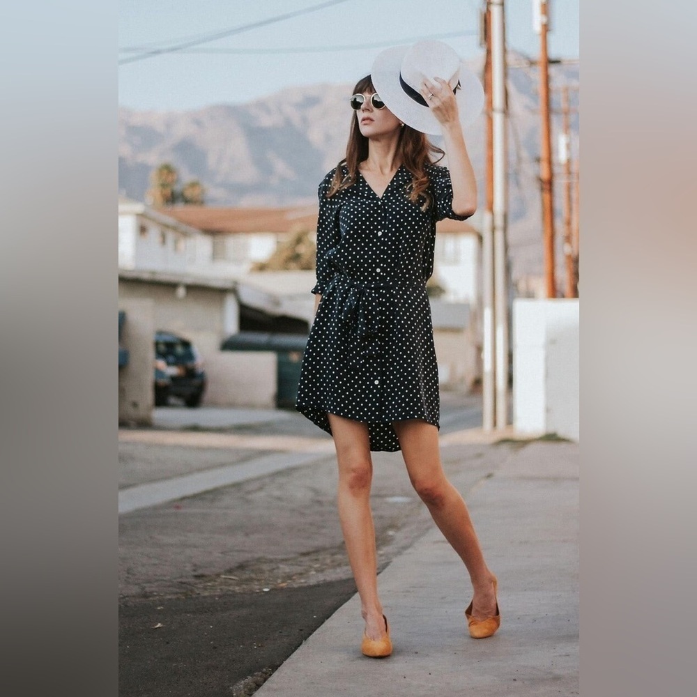 Everlane The Polka Dot Shirt Dress 2 Navy Button Down Collared Twee Work Career